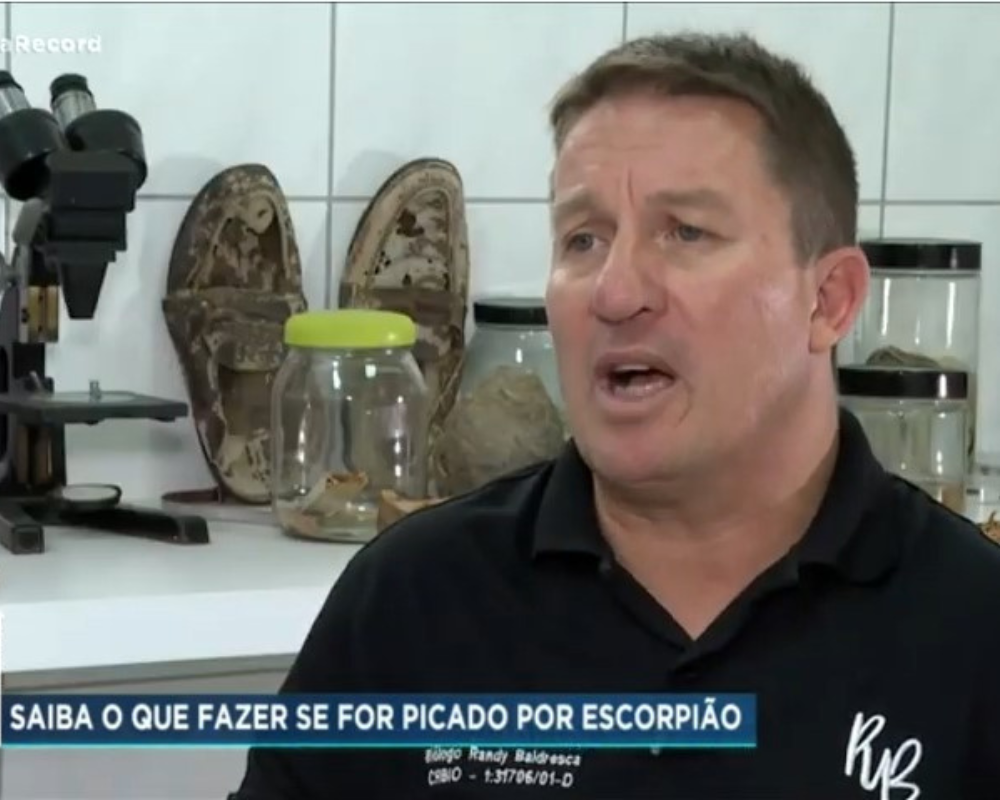 Escorpião em Casa: O Guia de Segurança e Manejo