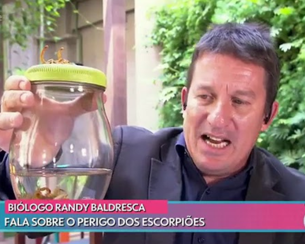 Guia para síndicos: prevenção e controle de escorpiões em condomínios