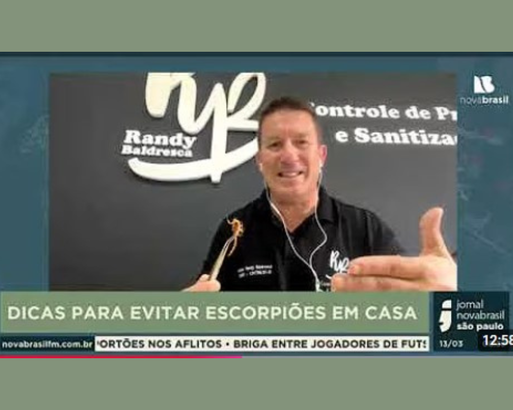 Riscos e protocolos para infestação de escorpiões em casas