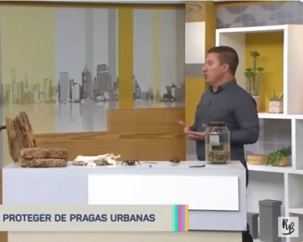 Riscos e perigos dos escorpiões: guia técnico e preventivo